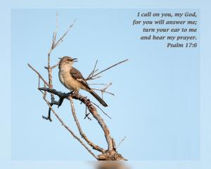 Daily Scripture Art Psalm 17 6